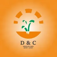 D&C