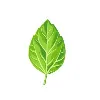 Generation Capital Management, LLC