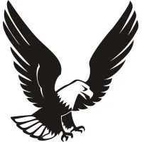 Team Eagle Computers