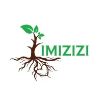 Imizizi