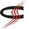 Cineom Broadcast India Limited Cineom Broadcast India Limited