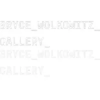Bryce Wolkowitz Gallery