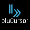 bluCursor Infotech Pvt Ltd bluCursor Infotech Pvt Ltd