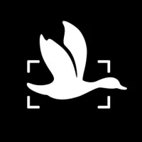 DCOY Studios