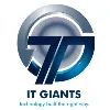 IT GIANTS IT GIANTS