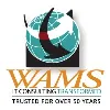 WAMS, Inc. WAMS, Inc.