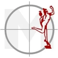 Mercury Engineering Co. (Pty) Ltd