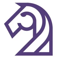 Rovin Capital