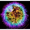 IVF20.ai IVF20.ai