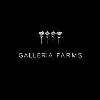 Galleria Farms Galleria Farms