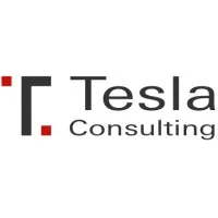Tesla Consulting