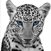 Wildcat Lending, LLC Wildcat Lending, LLC