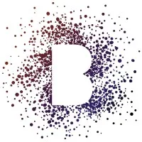 Berg & Associates LLC Berg & Associates LLC