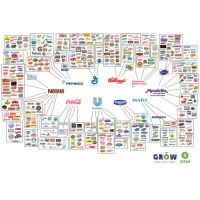 Sustainability Alliance 