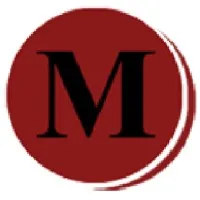 Maximize Accountants