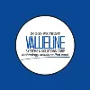 Valueline Systems & Solutions Corp. Valueline Systems & Solutions Corp.