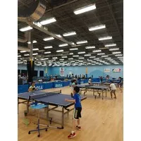 Triangle Badminton & Table Tennis Triangle Badminton & Table Tennis