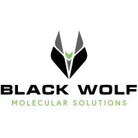 Black Wolf Molecular Solutions LP
