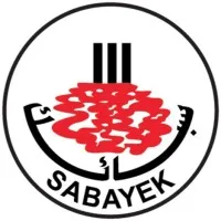 Gulf Ferro Alloys Company (SABAYEK)