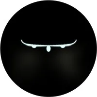 TheDroneContriver