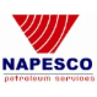 NAPESCO Petroleum Services Co. Ltd.