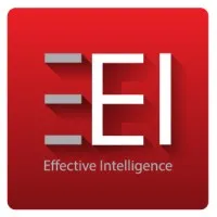 Effective Intelligence (Pty) Ltd