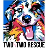 TWO BY TWO RESCUE