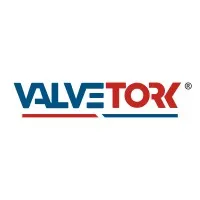 VALVETORK CONTROL INDIA PRIVATE LIMITED