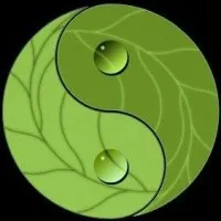 Infinite Vision, LLC Infinite Vision, LLC