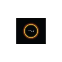 Pyra, a Wellbeing Consulting Firm