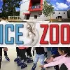 Ice Zoo Ice Rink Ice Zoo Ice Rink
