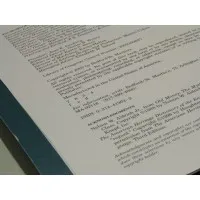 Professional Process Servers