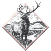 Freeman Publications