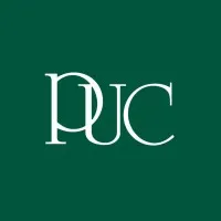 Paul Usoro & Co email format