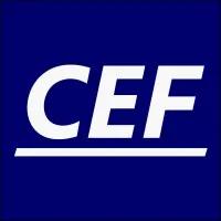 CEF Solutions Inc. CEF Solutions Inc.