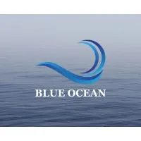 Blue Ocean Agency