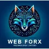 WEB FORX GLOBAL INC WEB FORX GLOBAL INC