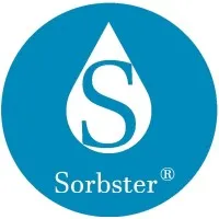 Sorbster Inc Sorbster Inc