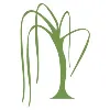 WILLOW TREE WELLNESS & COUNSELING, LLC WILLOW TREE WELLNESS & COUNSELING, LLC