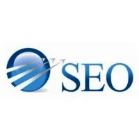 SEO Executive Search