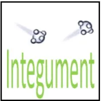 Integument Technologies Inc