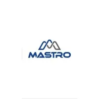 Mastro Steels L.L.C