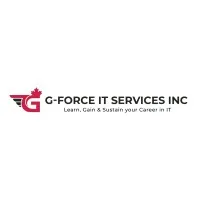 G-FORCE IT SERVICES INC