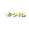 Auric Mining Auric Mining