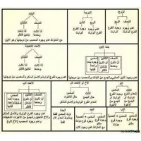 free lawyer free lawyer