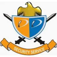 DD SECURITY SERVICE PVT. LTD.