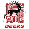 Nanjing Deers Industrial Co., Ltd.