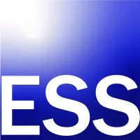 Everything Staffing Solutions