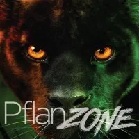 Pflanz Electronics