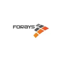Forays International Trading LLC